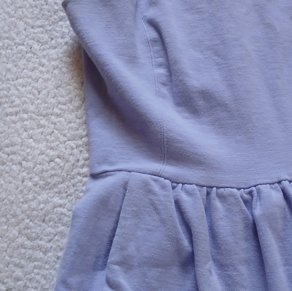 J. Crew Periwinkle Blue Sleeveless Knee Length Dress with Pockets Womens Small - Picture 8 of 12